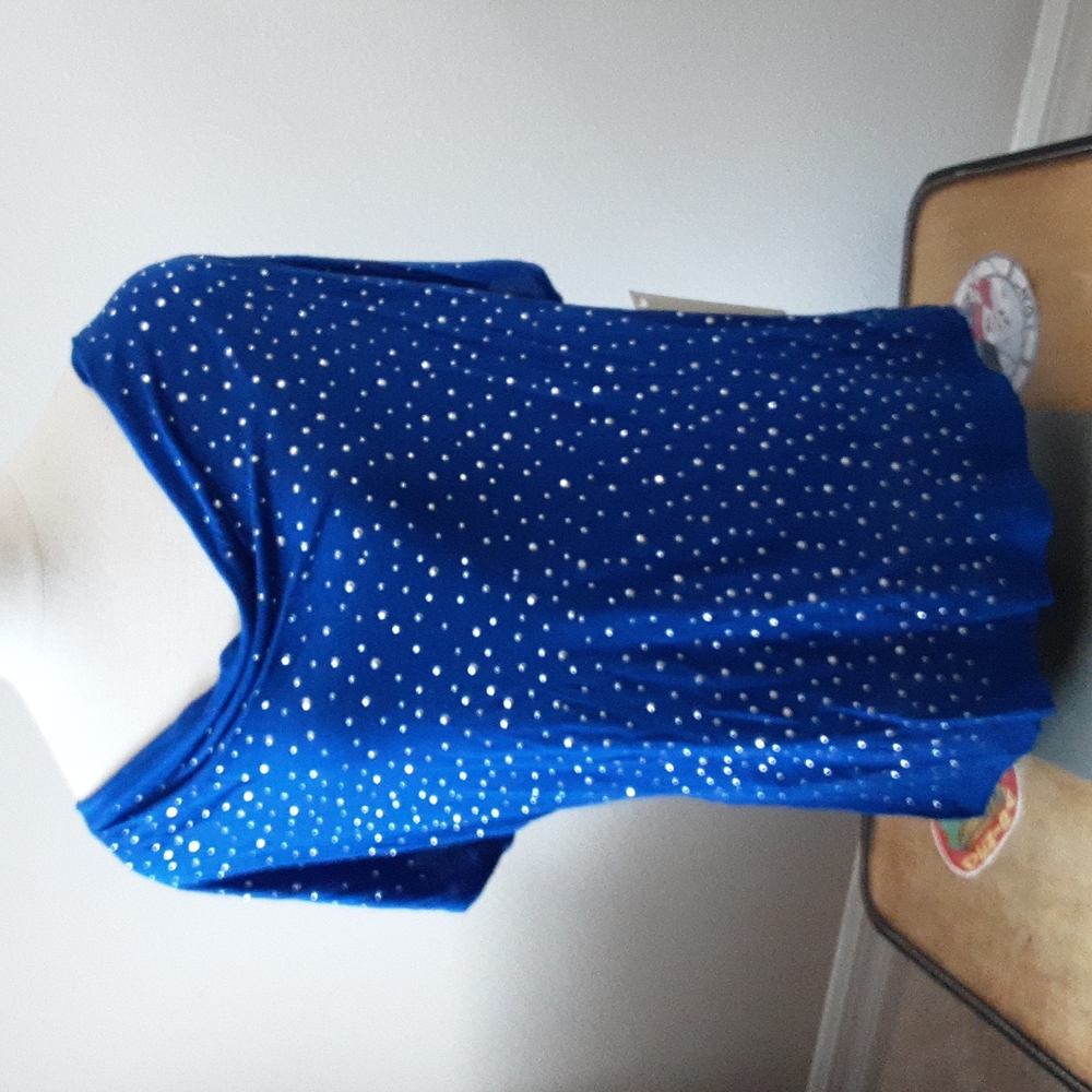 Laura Ashley dressy pullover Blouse *petite large*blue*NWT